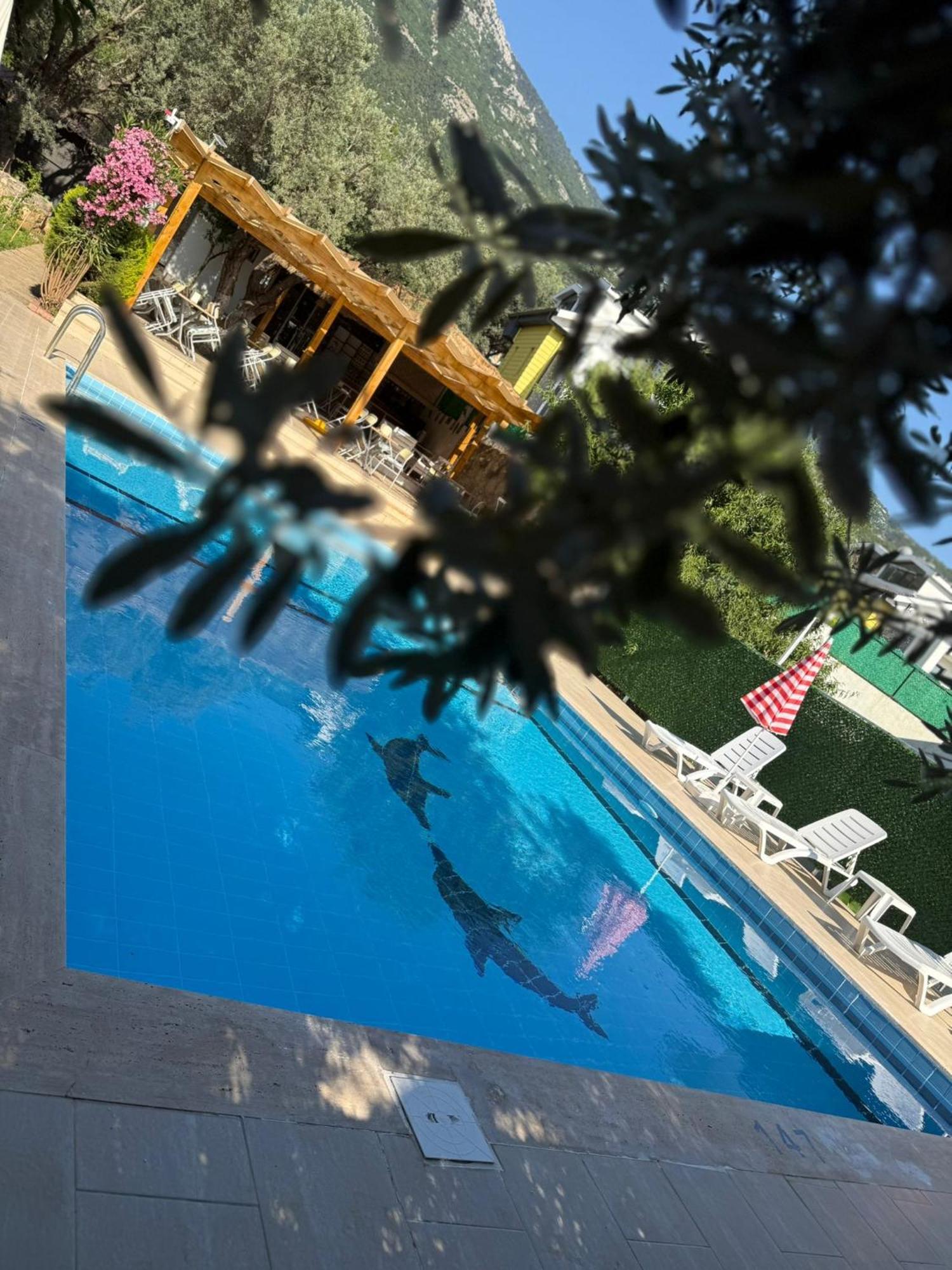 Hotel Gold Monami Boutique Fethiye